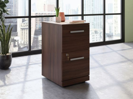 Commercial 2-Drawer Pedestal File Cabinet | Buy the Best Office Furniture in Pakistan at the Best Prices | office furniture near me | furniture near me