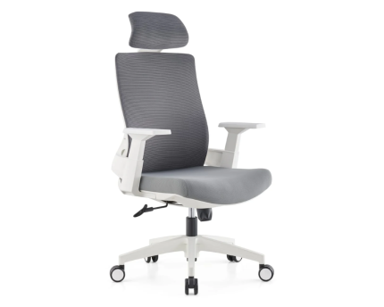 Delta Executive Chair | Buy the Best Office Furniture in Pakistan at the Best Prices | office furniture near me | furniture near me