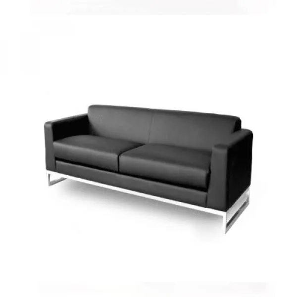 Ziger 2-Seater Sofa | Furniture near me | Furniture Store near me | Furniture market near me | office furniture near me | Furniture near me | Furniture Store near me | Furniture market near me | office furniture near me