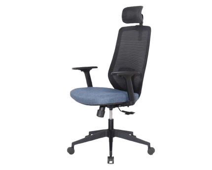 Ferry-X Manager Chair | Office Furniture | Furniture near me | Furniture Store near me | Furniture market near me | office furniture near me